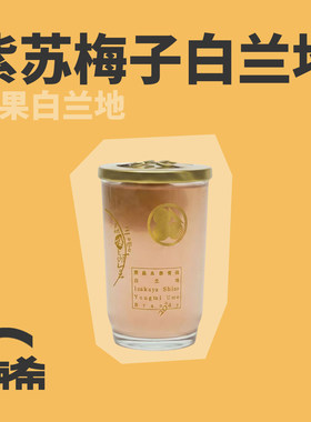 立吞紫苏永泰青梅白兰地配制酒