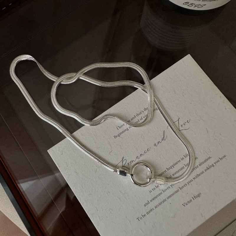 S925纯银韩版小众设计感蛇骨项链韩国风简约复古款锁骨链