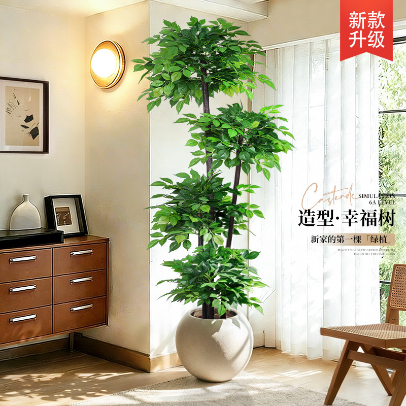 仿真绿植幸福树客厅大型盆栽图片