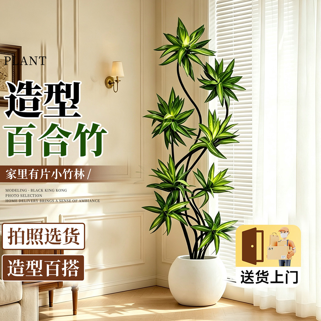造型百合竹室内绿植好养高级感图片