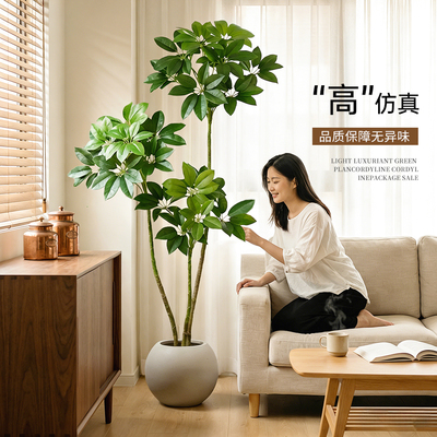 假绿植大叶伞发财树仿真植物摆件