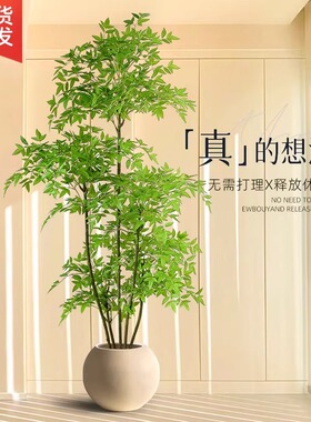 彷真绿色植物南天竹高端轻奢客厅假绿植室内大型落地盆栽装饰氛围