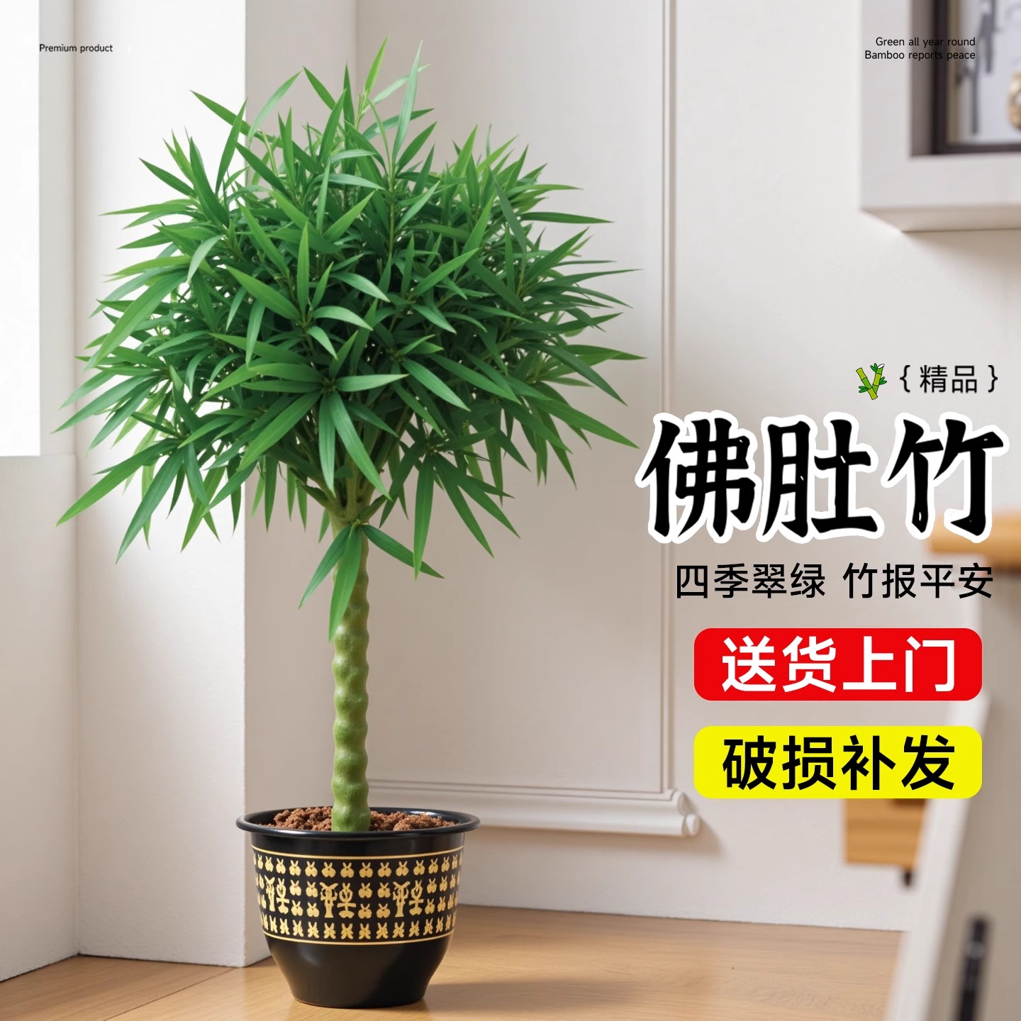 竹子盆栽佛肚老桩罗汉景绿