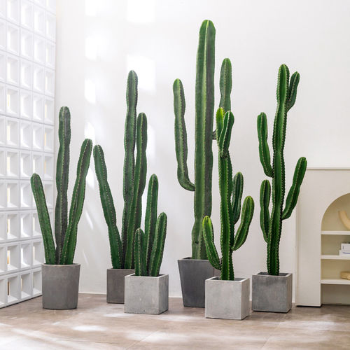 仿真绿植仙人柱量天尺盆栽热带