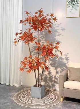 彷真绿色植物红枫树盆栽北欧现代轻奢客厅沙发旁摆件网红室内落地