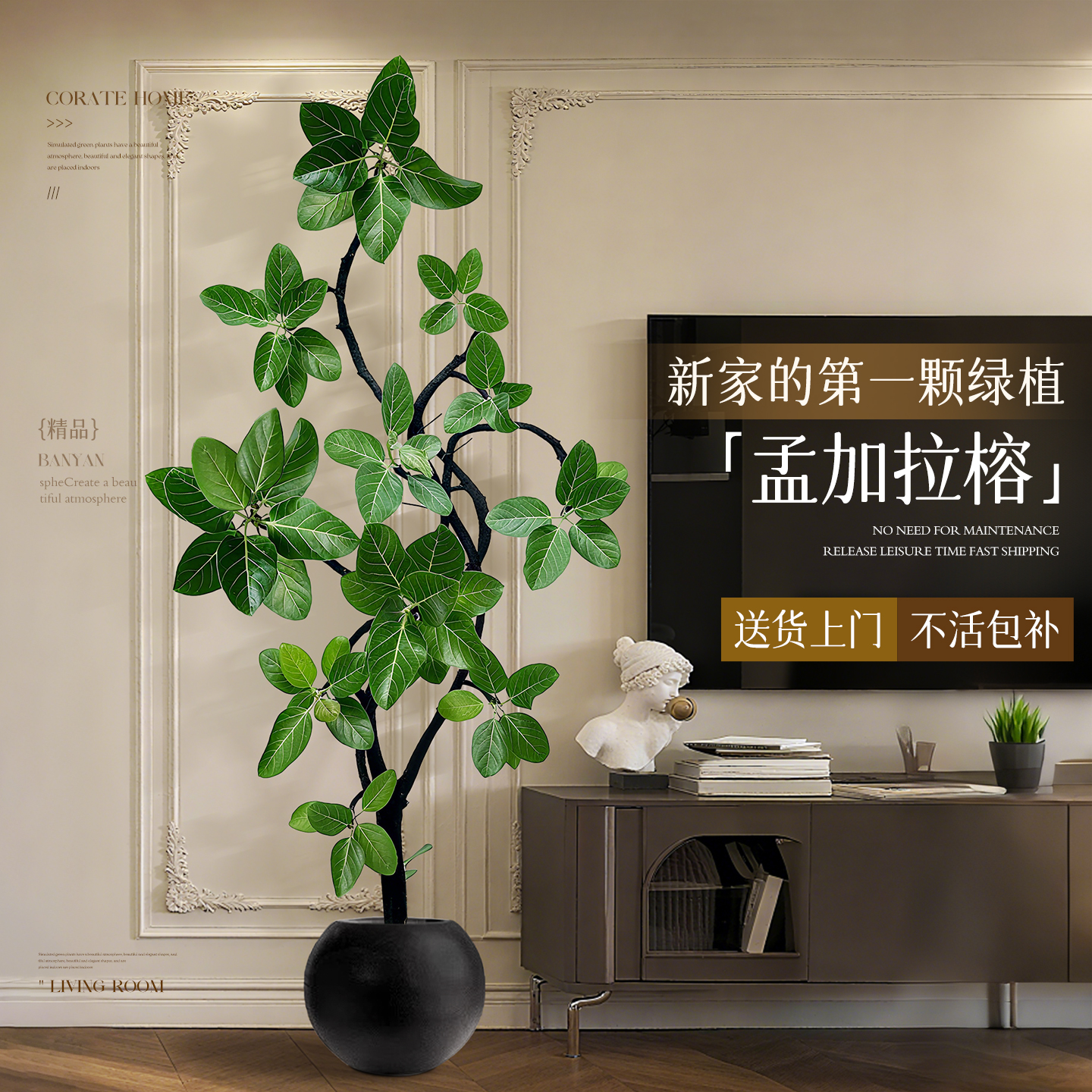 孟加拉榕客厅绿植高级感室内