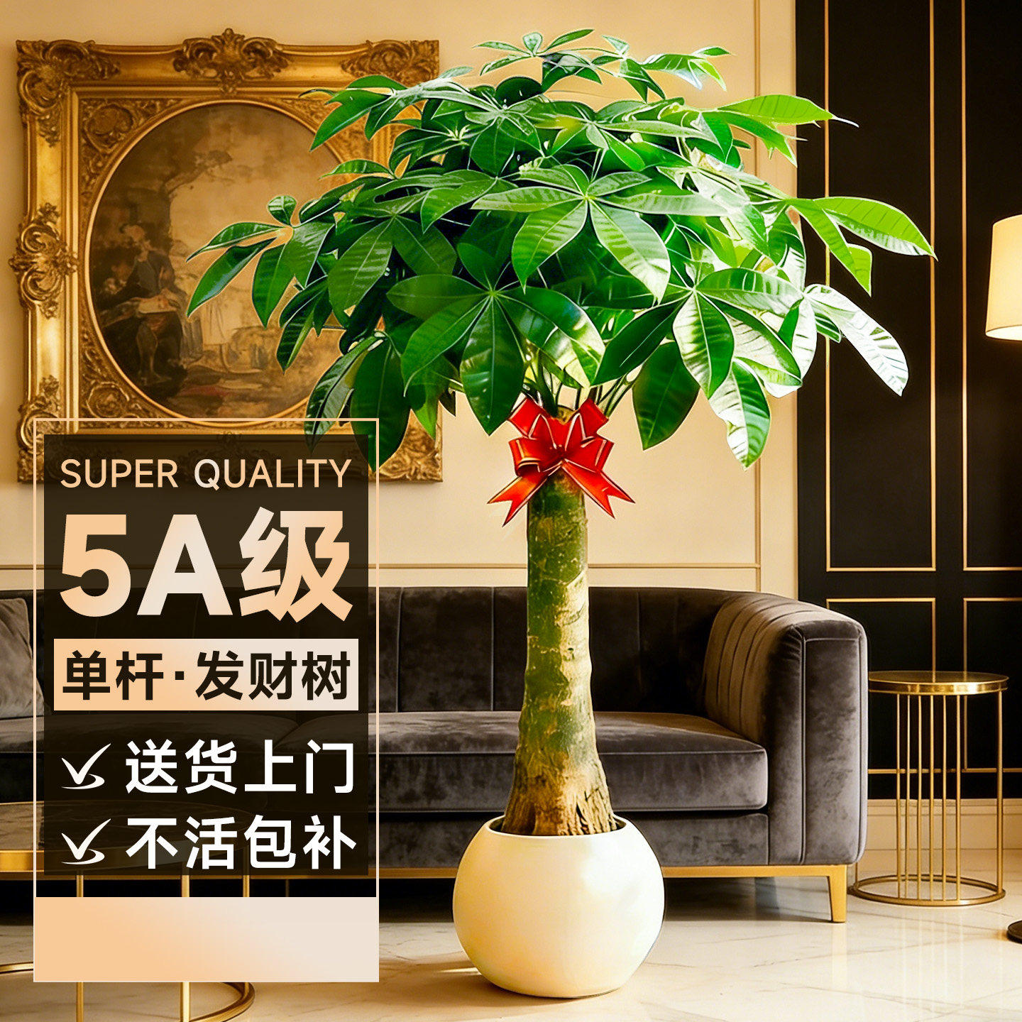 发财树客厅大盆栽绿植室内大型招财树大棵植物办公室乔迁开业好养,鲜花速递/花卉仿真/绿植园艺,大型绿植/成品组合盆栽,淘宝优惠券,粉丝福利购,淘宝优惠卷