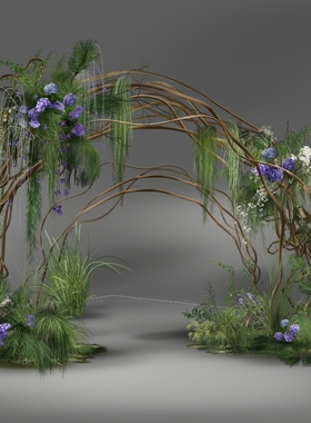 h388白绿色花艺素材森系婚礼素材藤条素材藤条花门婚礼素材婚礼