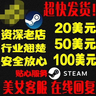 Steam充值卡100美金刀充钱卡包实体卡图礼品卡余额