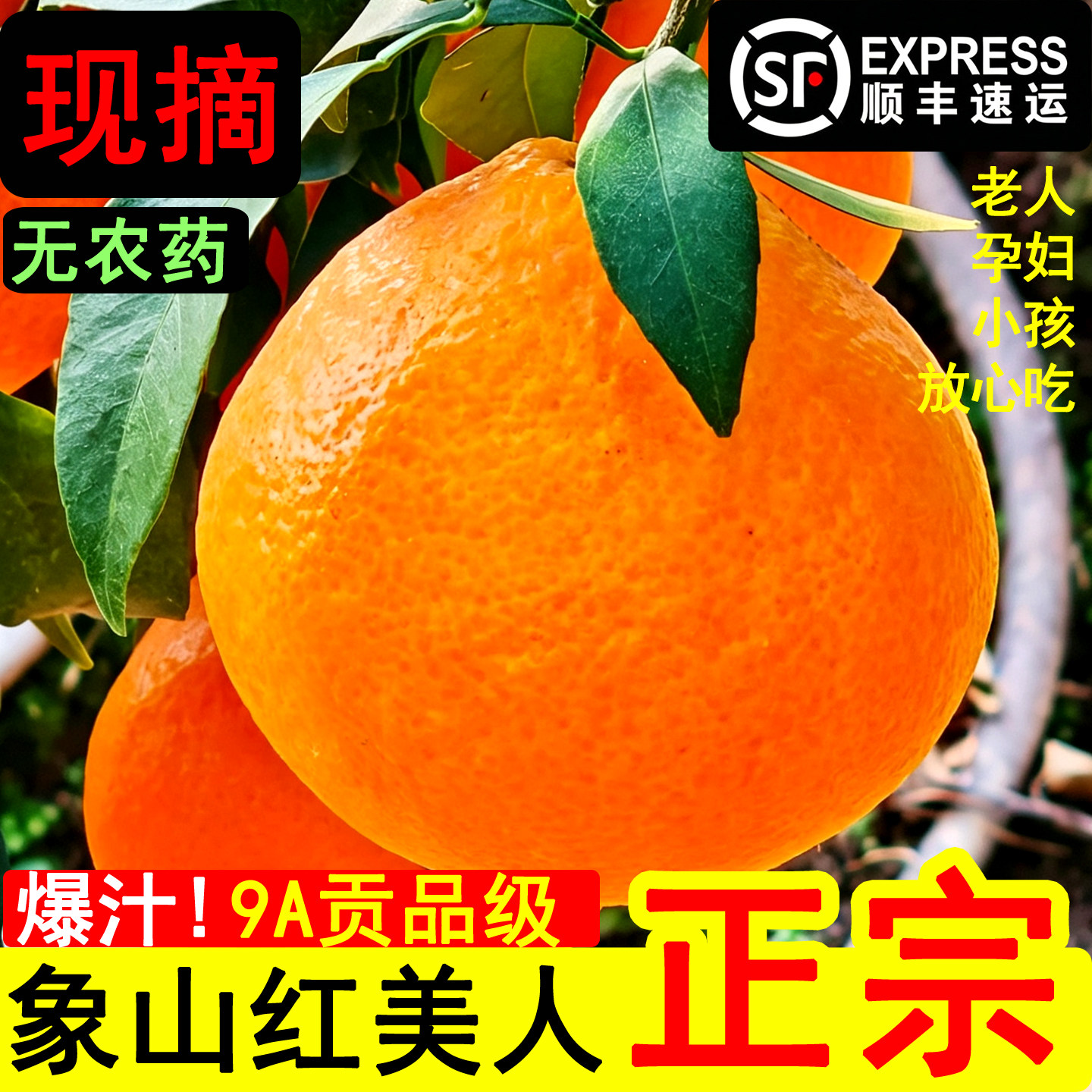 象山红美人28号现摘柑橘礼盒