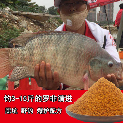 罗非散炮大小罗非鱼窝料黑坑艺钓
