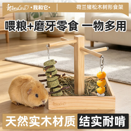 兔子食盆带水果叉兔粮碗荷兰猪龙猫侏儒兔防打翻喂食器食槽盒用品