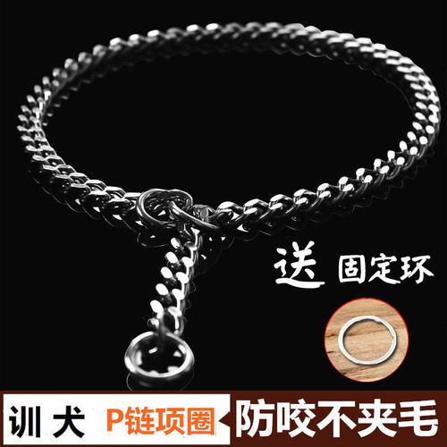 狗狗p链项圈无缝焊接中大型犬