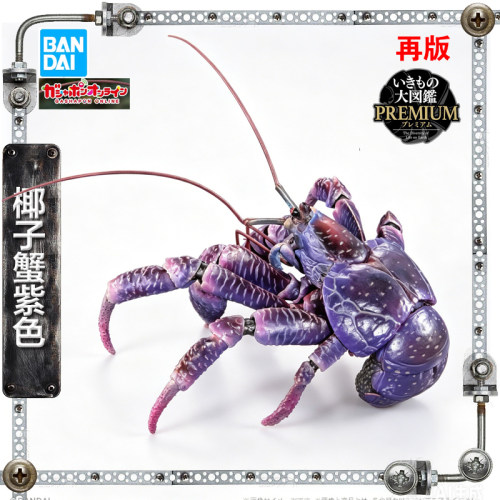 PREMIUM椰子蟹紫色再版