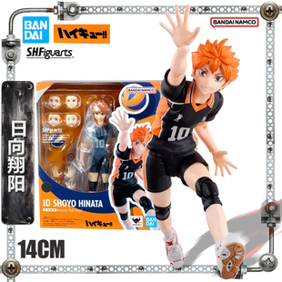 万代 SHF 排球少年 日向翔阳 成品关节可动手办 模型 现货包邮