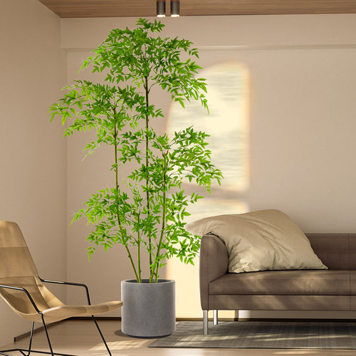 仿真假绿植高级轻奢景观直播背景