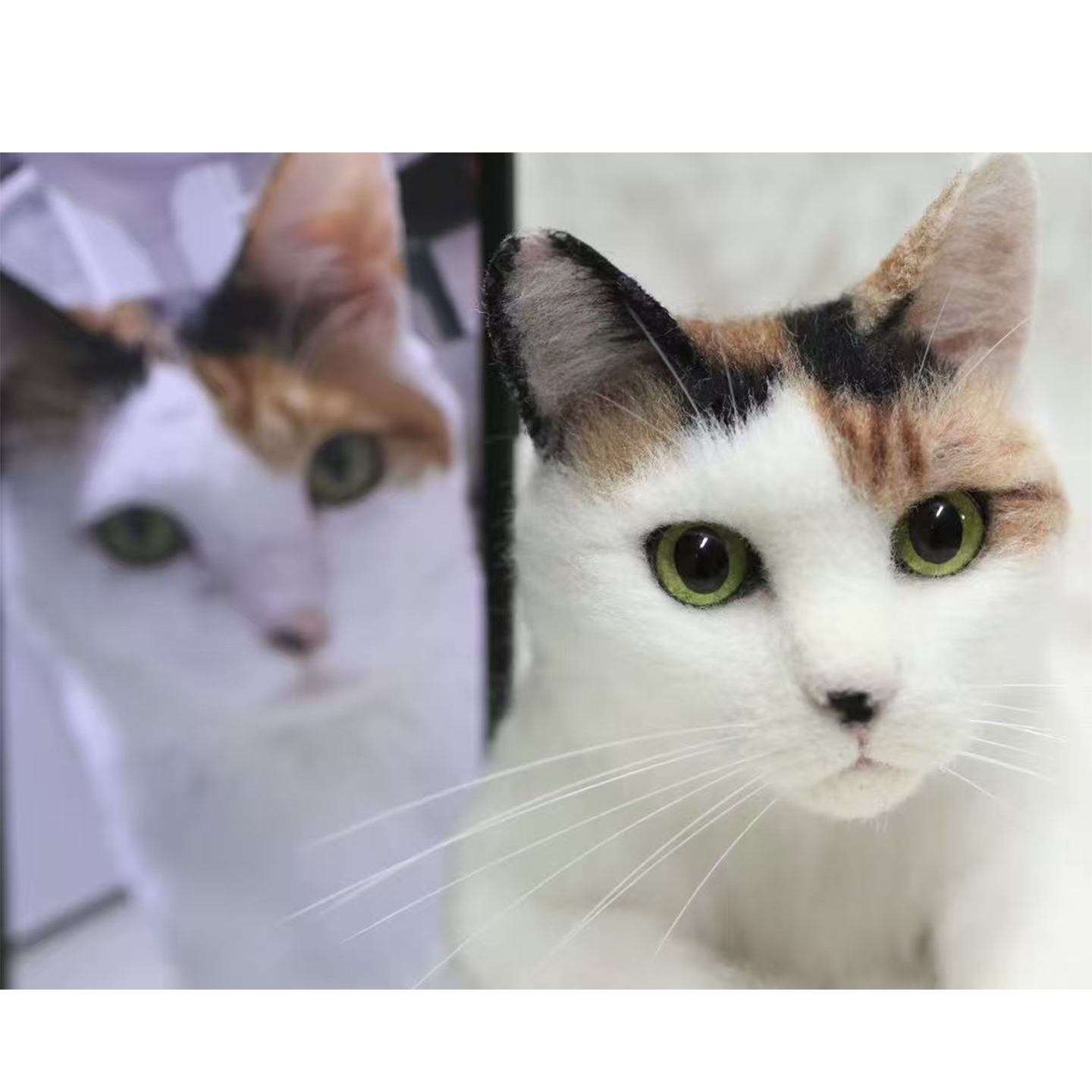 宠物羊毛毡定制仿真肖像摆件生日礼物留念猫狗毛绒摆件汽车挂件,宠物/宠物食品及用品,宠物用品定制周边,淘宝优惠券,粉丝福利购,淘宝优惠卷