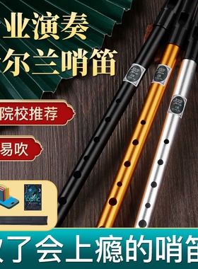 爱尔兰金属哨笛初学者竖笛锡笛C调D调笛子专业演奏高音直笛学生用