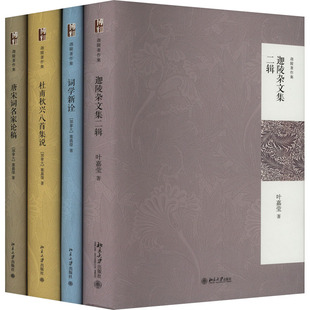 北大版新书 迦陵著作集 全4册 叶嘉莹 精装 唐宋词名家论稿+杜甫秋兴八首集说+词学新诠+迦陵杂文集二辑 北京大学出版社