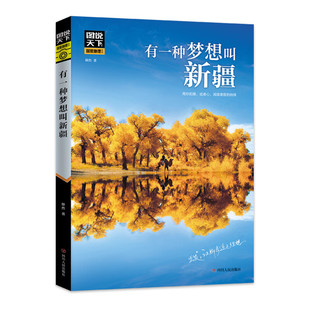 有一种梦想叫新疆天下国家地理系列西藏观光胜地国内自助旅游攻略旅行指南自然风光人文地理知识景点介绍大全旅游指南攻略畅销书籍