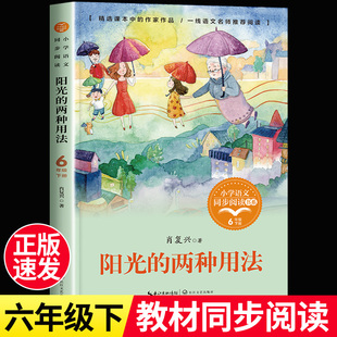 正版肖复兴散文集精选阳光的两种用法六年级下册课外书必读经典小学语文同步阅读统编教材配套大字彩图课文作家作品系列
