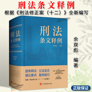 正版2024新 刑法条文释例 余双彪 根据刑法修正案十二编写 注释刑法实用工具书 案例指引实务疑难 中国检察出版社9787510230455