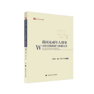 中国政法大学出版 正版 王海桥 我国未成年人刑事司法实践探索与机制完善 社9787576410105 2023新书