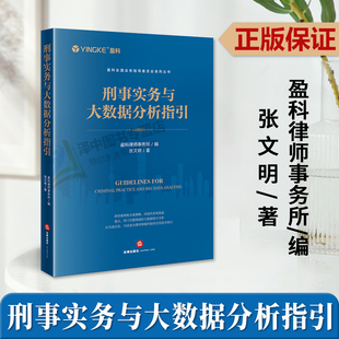 正版2024新 刑事实务与大数据分析指引 盈科律师事务所 张文明 刑事控告 刑事辩护 刑民交叉案件 刑事案件实务 法律9787519786304
