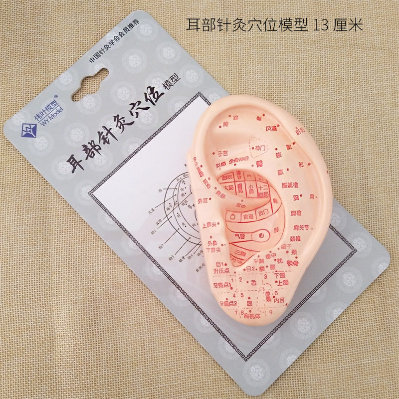 刻字款针灸人体穴位模型手部按摩反射区教学模型足部耳穴针灸模型在类目 OTC药品/医疗器械/计生用品, 保健用品, 按摩器材中 - 来自Buy2taobao.com提供专业的淘宝代购服务