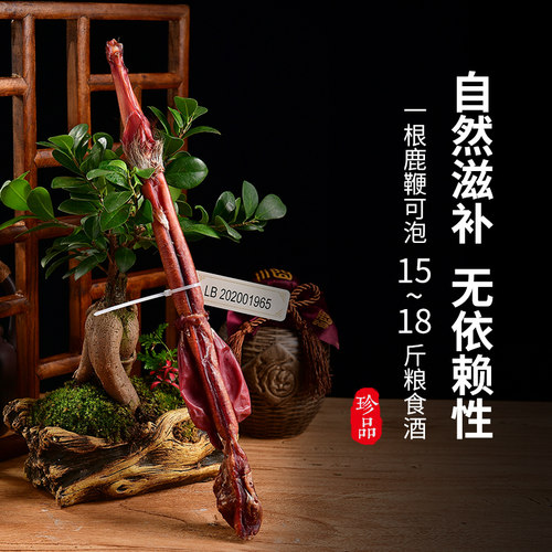 干鹿鞭整枝