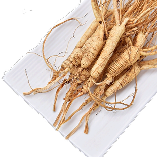 整枝长白山人参非野山参泡酒煲汤男性滋补养生保健