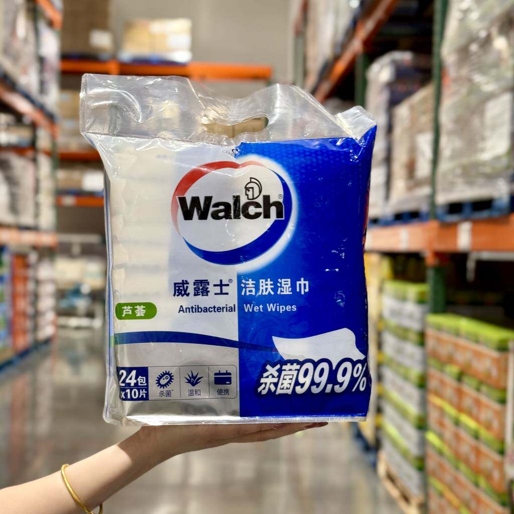 Walch威露士芦荟洁肤湿巾24包*10片装温和清洁去污除菌湿纸巾便携
