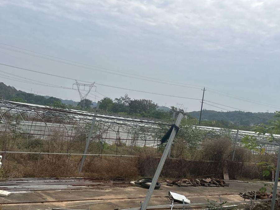 1月28日宜昌位于宜都市枝城镇洋津畈村四组宜枝独秀蔬菜专业合作社的蔬菜大棚、板房、设备等资产可贷款此标的物可提供贷款，具体请查看详情中的银行信息网络拍卖公告