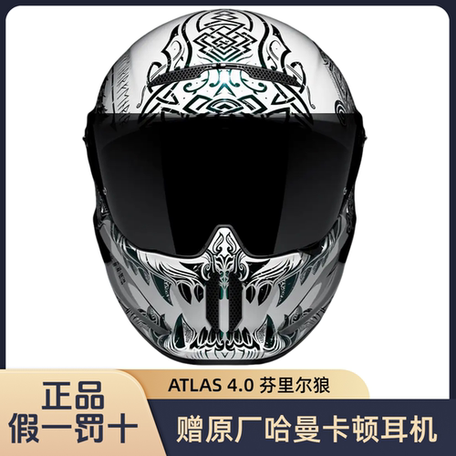 Ruroc鲁洛碳纤维全盔头盔AT4