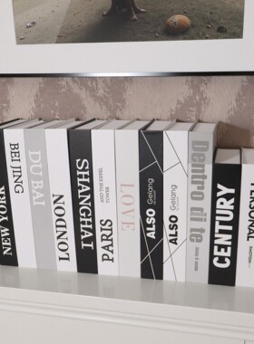 现代简约仿真书摆件装饰假书道具