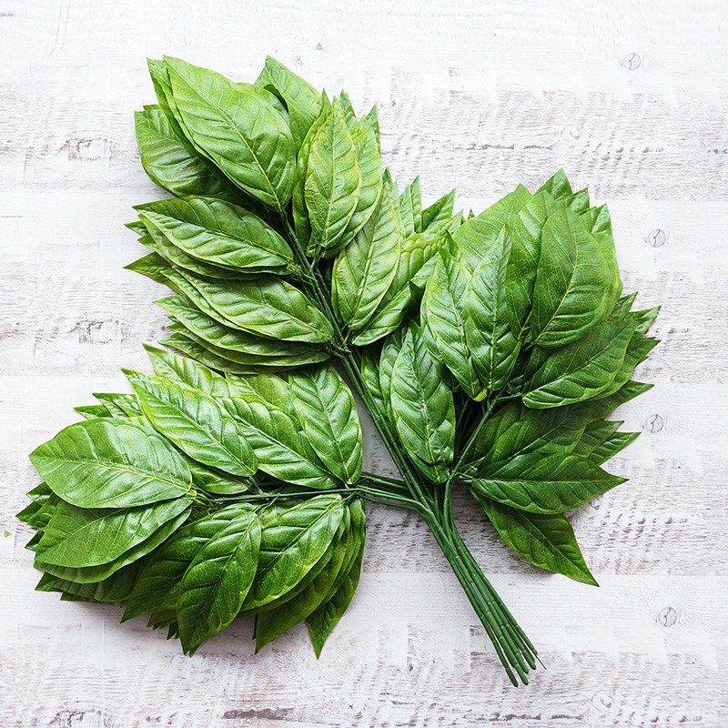 仿真芒果树叶塑料绿植叶子人造树枝园林工程装饰树叶假芒果树枝叶|ruв категории доставка цветов/цветок моделирования/растения садоводства, искусственные цветы/растения/фрукты и овощи готовой продукции (новая), моделирование растения - от Buy2taobao.com для оказания профессиональной услуги покупки агента Taobao