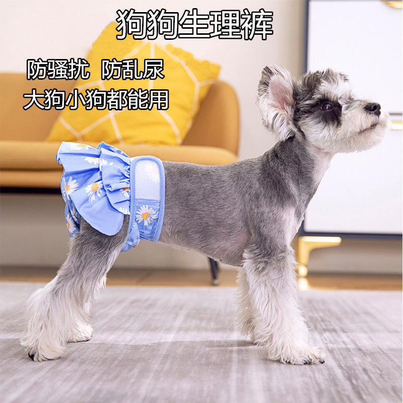 生理裤狗狗生理裤安全裤防骚扰
