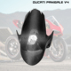 PANIGALE V4S 杜卡迪街霸V4 V4R改装 碳纤维前挡泥板真碳挡沙板