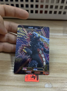 贝洛坤sdsc13024