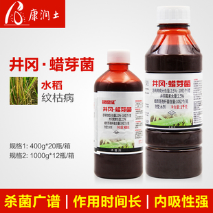 银收成 井冈蜡芽菌井冈霉素水稻纹枯病云纹病专用农药杀菌剂