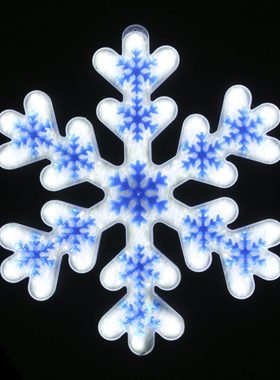 LED雪花挂件灯春节街道商场公园亮化灯室外防雨树灯装饰灯工程灯