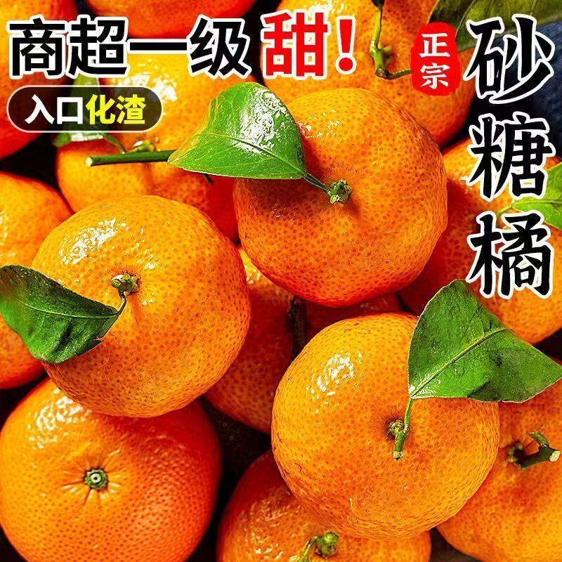 正宗金秋砂糖橘纯甜新鲜水果橘子10斤当季整箱无籽砂糖桔小柑橘