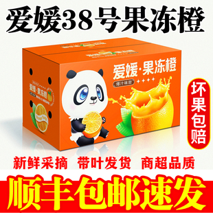 现摘四川眉山丹棱爱媛38号果冻橙红美人橘子旗舰店新鲜水果10包邮