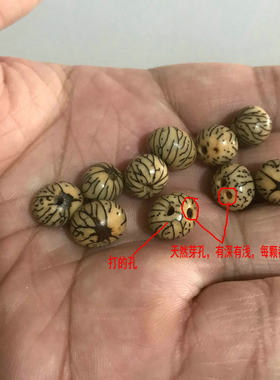 天然椭圆银线菩提子籽diy饰品