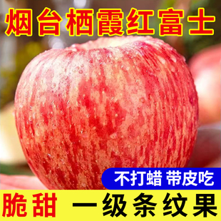 正宗山东烟台栖霞苹果条纹红富士当季 新鲜水果一级果整箱