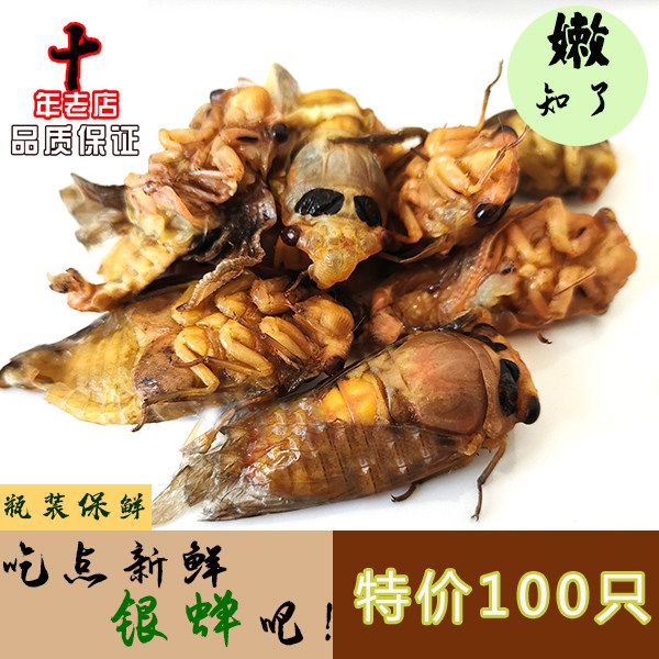 新鲜银蝉 嫩白知了 白蝉 金蝉其它生肉制品