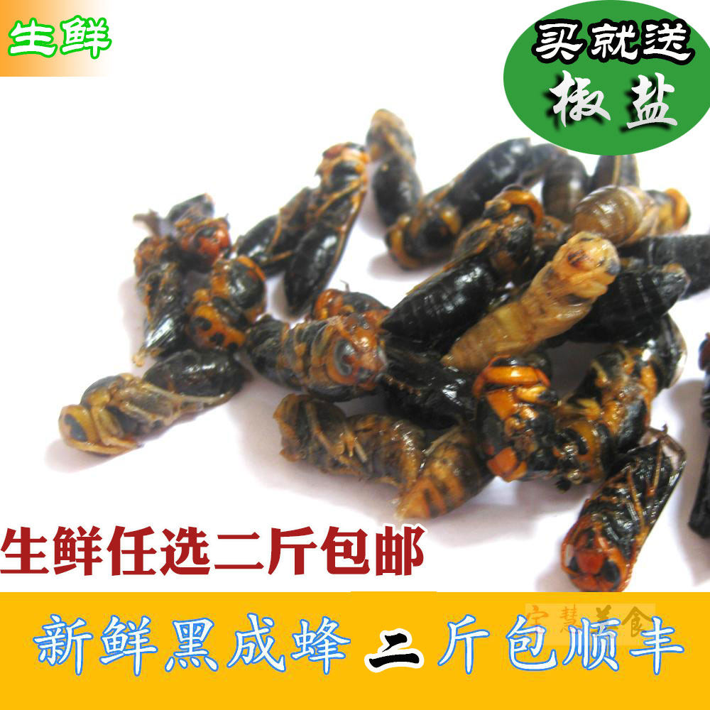 包邮新鲜蜂蛹 蜂虫 特级马蜂蛹 胡蜂 四级蜂 成蜂活体速冻  500g