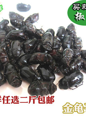 包邮新鲜金龟子三色可选