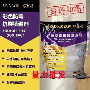 邓禄普瓷砖填缝剂专用防水霉地砖美缝剂多色CG2WA勾缝剂填充料2kg