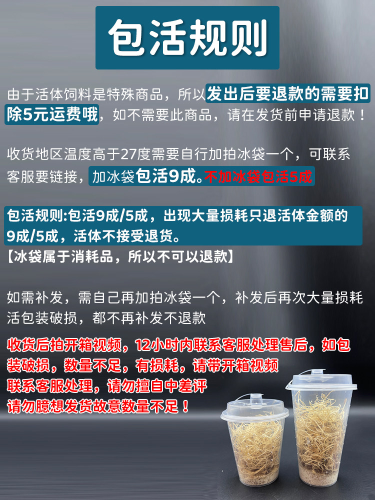 蟋蟀活体饲料奶茶杯装防逃脱内含高蛋白饲料守宫食物蜥蜴螳螂蜘蛛图片